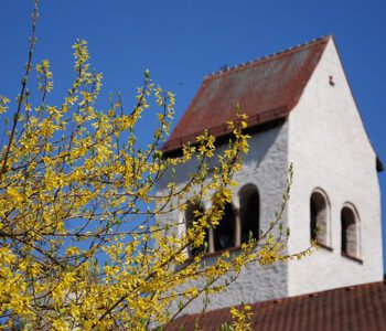 Foto von Heide Langguth