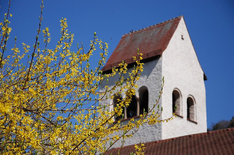 Foto von Heide Langguth